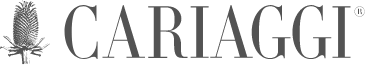 Cariaggi Lanificio logo