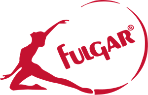 Fulgar S.p.A. logo