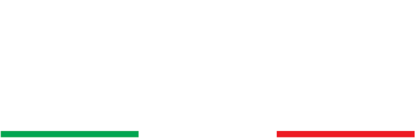 Naizil Srl logo