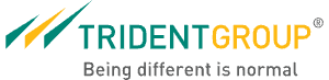 Trident Limited logo